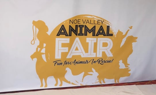 Noe Valley Animal Fair Banner by BarkerBlue Create